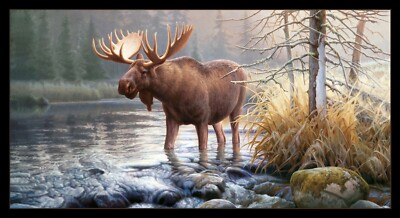 Moose Fabric Animal Scene Morning Glory #9205 Cotton Elizabeths Studio 24'' Panel
