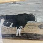 Foto 2 di 8