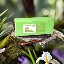 Green Battery  48V 12AH Battery
