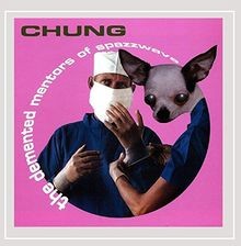 The Demented Mentors of Spazzwave von Chung | CD | Zustand sehr gut