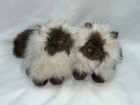 Ganz Himalayan Kitten Cat Plush