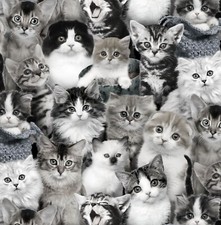 Cat Breeds Fabric Elizabeth's Studio Grayscale Pets By the Yard
