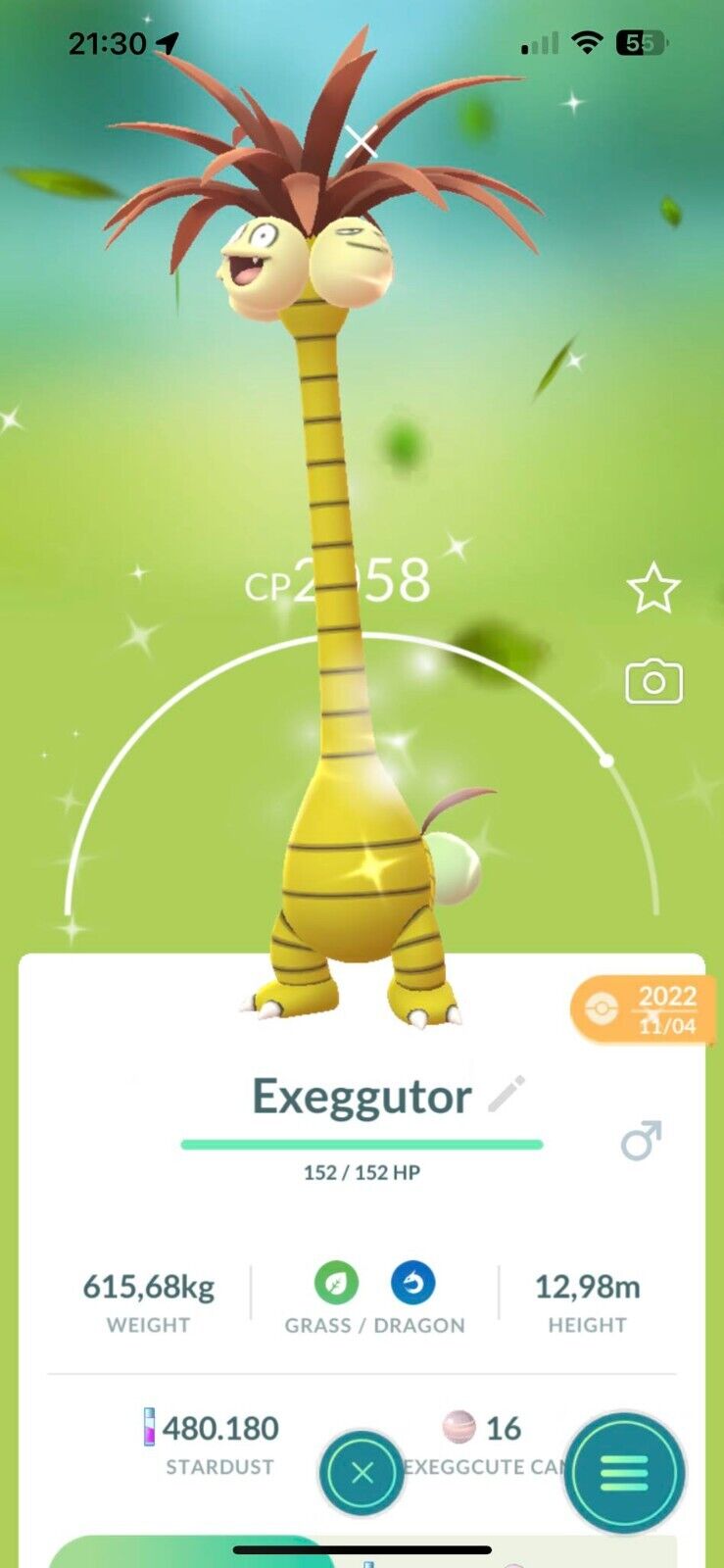 Shiny Rayquaza Pokemon Trade Go LV20 Registered/30 Day Trading Stardust  Pokémon