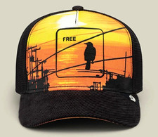 Goorin Bros.  Free It Was The Hat Friday Drop...
