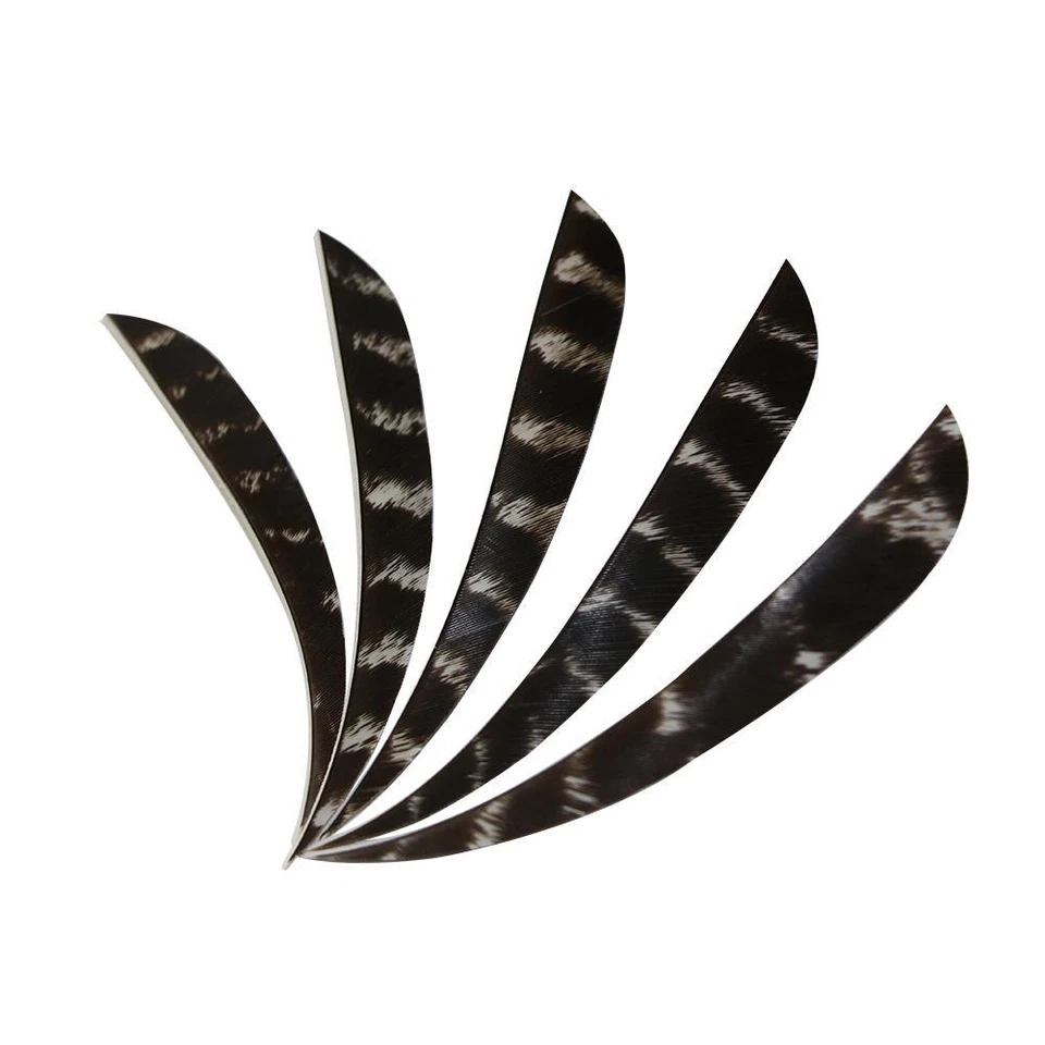 4" 5" Right Wing Archery Turkey Feathers Wooden Carbon Arrows Fletching Fletches - Image 4 of 4
