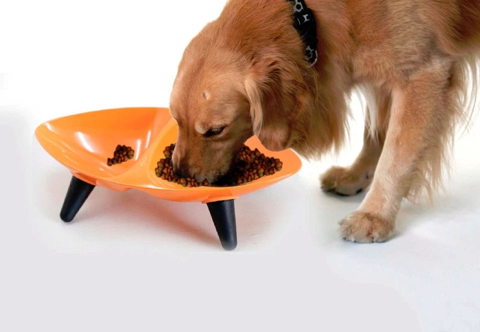 Cuenco doble de comida y agua para perros con escultura de alta costura de melamina Foto 2 de 2