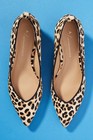Anthropologie Beatriz Leopard Calfskin Pointed toe Block Heel Size 10 — photo 2