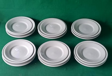 SERVIZIO 18 PIATTI PIANI FONDI FRUTTA PORCELLANA DURISSIMA RICHARD GINORI. CY64