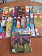 19 Teaching Version Reading Books By Rigby Flying Colors Great For Home School 