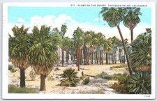 Vintage 1939 Thousand Palms California Desert Palm Trees Postcard