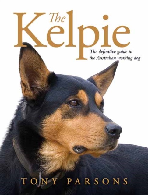 The Kelpie by Tony Parsons (Hardback Book)