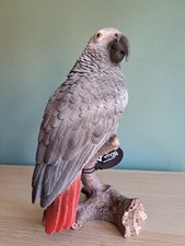 Vivid Arts Real Life African Grey Parrot Garden Ornament Decoration