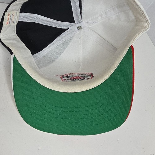 Cappello Vintage FSU Snapback Frostburg State University 100 anni 1898-1998 pulito - Foto 5 di 6