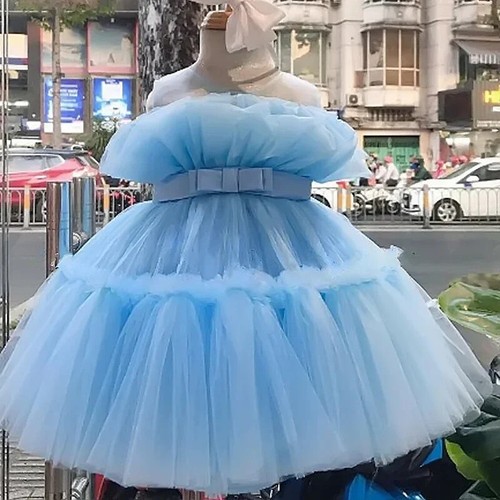 Baby Girl Party Gown Flower Dresses for Wedding 1-5 Years Birthday Kids Clothes - Picture 13 of 35