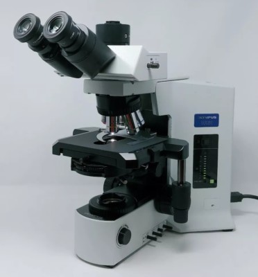 Olympus Microscope BX51 with Phase Contrast and Trinocular Head