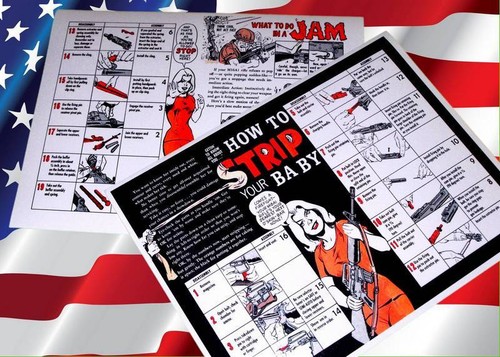 Viet Nam War RIFLE ASSEMBLY DISASSEMBLY TAKEDOWN Poster Charts 1969