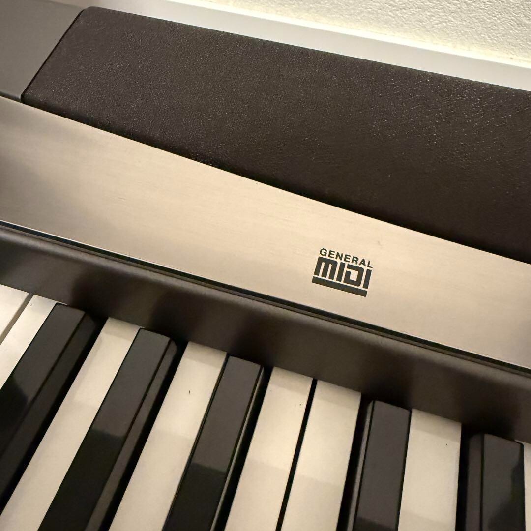 電子ピアノ　CASIO Privia PX-300 Casio Privia PX-300 88-Key Touch-Response Digital Piano