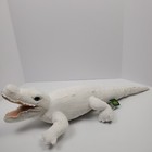 Picture 4 of 9