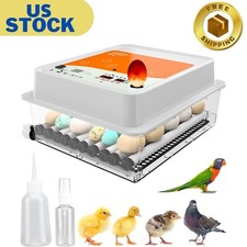 Incubators for Hatching Eggs - 36 pcs  Incubator with Automatic
