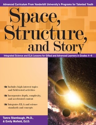 SPACE STRUCTURE AND STORY by STAMBAUGH Paperback Self Help Business