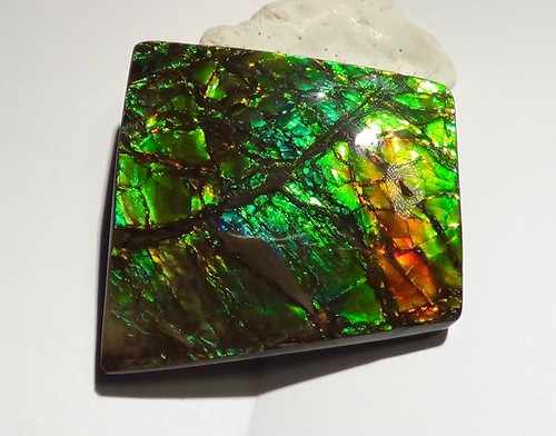225 Carat.!! I Sammler Ammolite /Drachenschuppe Grün-Golden-Orange + VIDEO - Picture 7 of 8