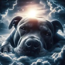 Meditative Dog Diamond Art Kits for Adults,DIY Animal Diamond Painting Kits R...