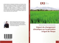 Impact Du Changement Climatique Sur Le PéRimèTre Irrigué De L'ikopa Maholiniaina