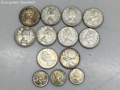 Canadian Dollar Silver Coins - 65 Grams