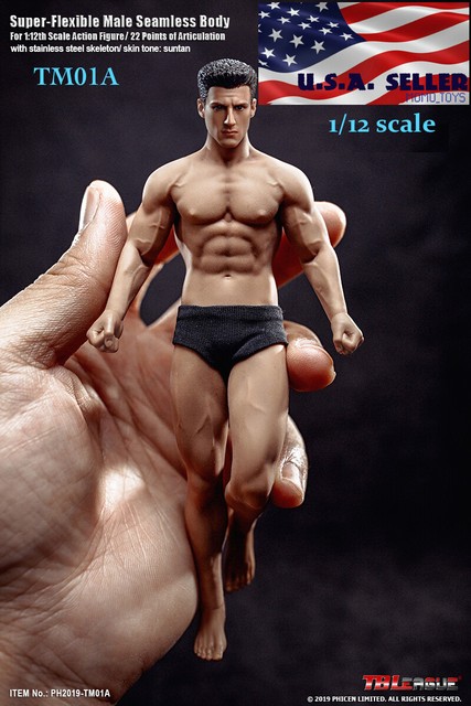 1 6 scale seamless male body