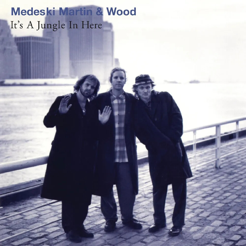 Medeski Martin & Wood 