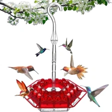 2 Pack Hummingbird Feeders- 30 feed inlets, Easy Clean Hanging Feeders Suitable