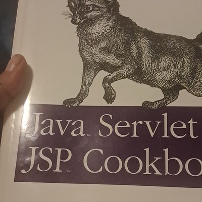 O'Reilly Java Servlet & JSP Cookbook by Bruce W. Perry Paperback Computers