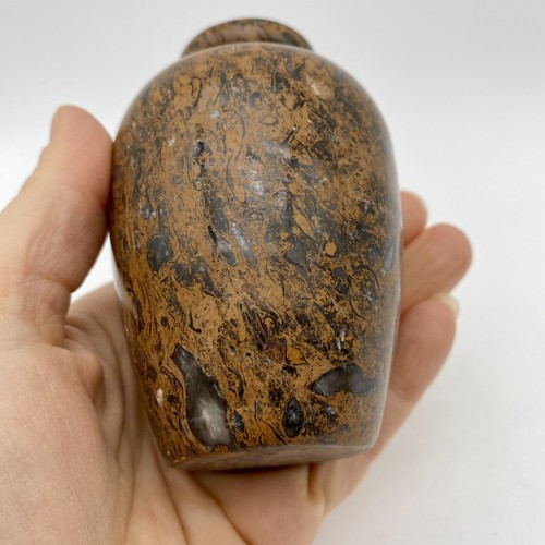 Seashell Shell Fossil Stone Vase Polished Natural Marble Tan Brown 4” - Picture 7 of 12