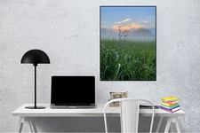 Photo Digital Image Picture Wallpaper Background | Fog green Grass JPG Wall Art