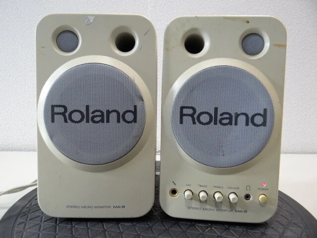 Roland computer sale speakers