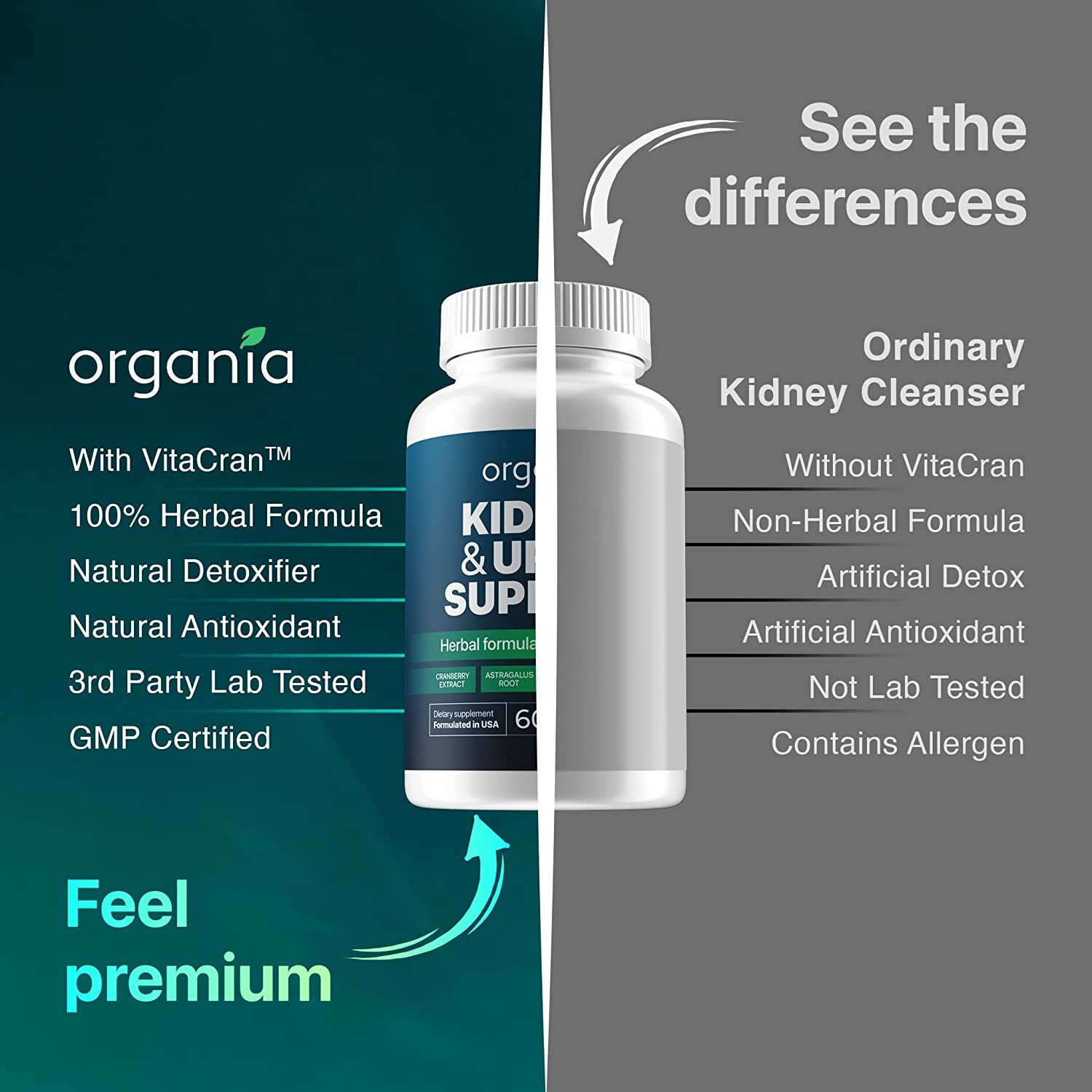 Kidney & Urine Support Herbal Kidney Supplement Help Kidneys