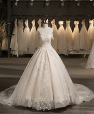 Princess Light Champagne Wedding Dresses with Court Train Tulle Bridal Gowns