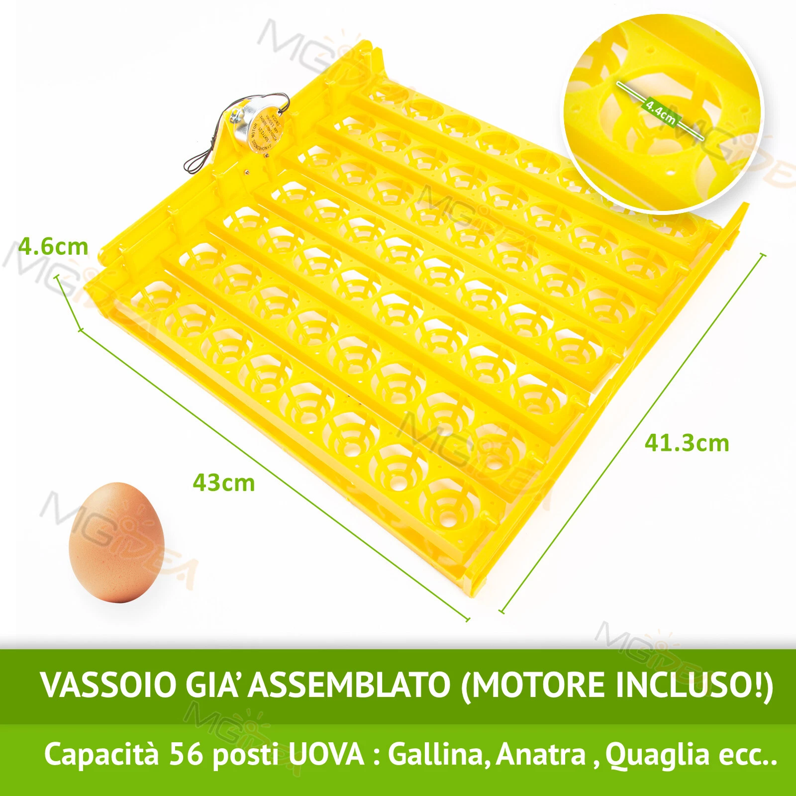 Foto 8 di 12