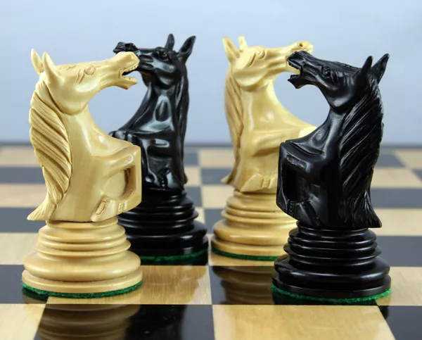 The knight of beauty - Chess.com  Chess pieces, Knight chess, Chess set