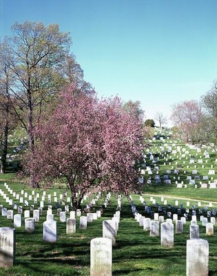 Photo:Spring day at Arlington National Cemetery, Arlington, Virginia