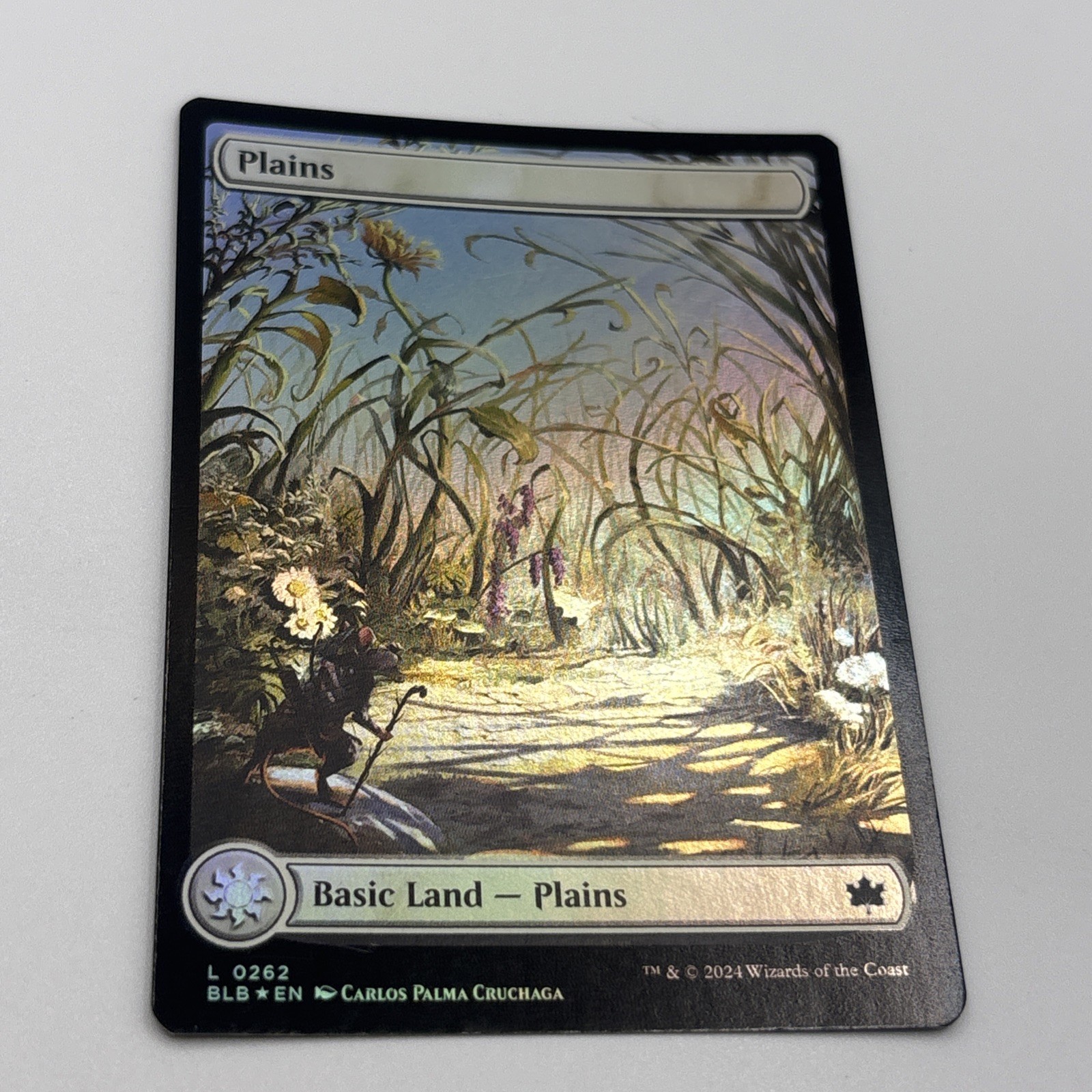 MTG Plains (Spring 262) x1-Foil Full Art-Bloomburrow-NM/LP