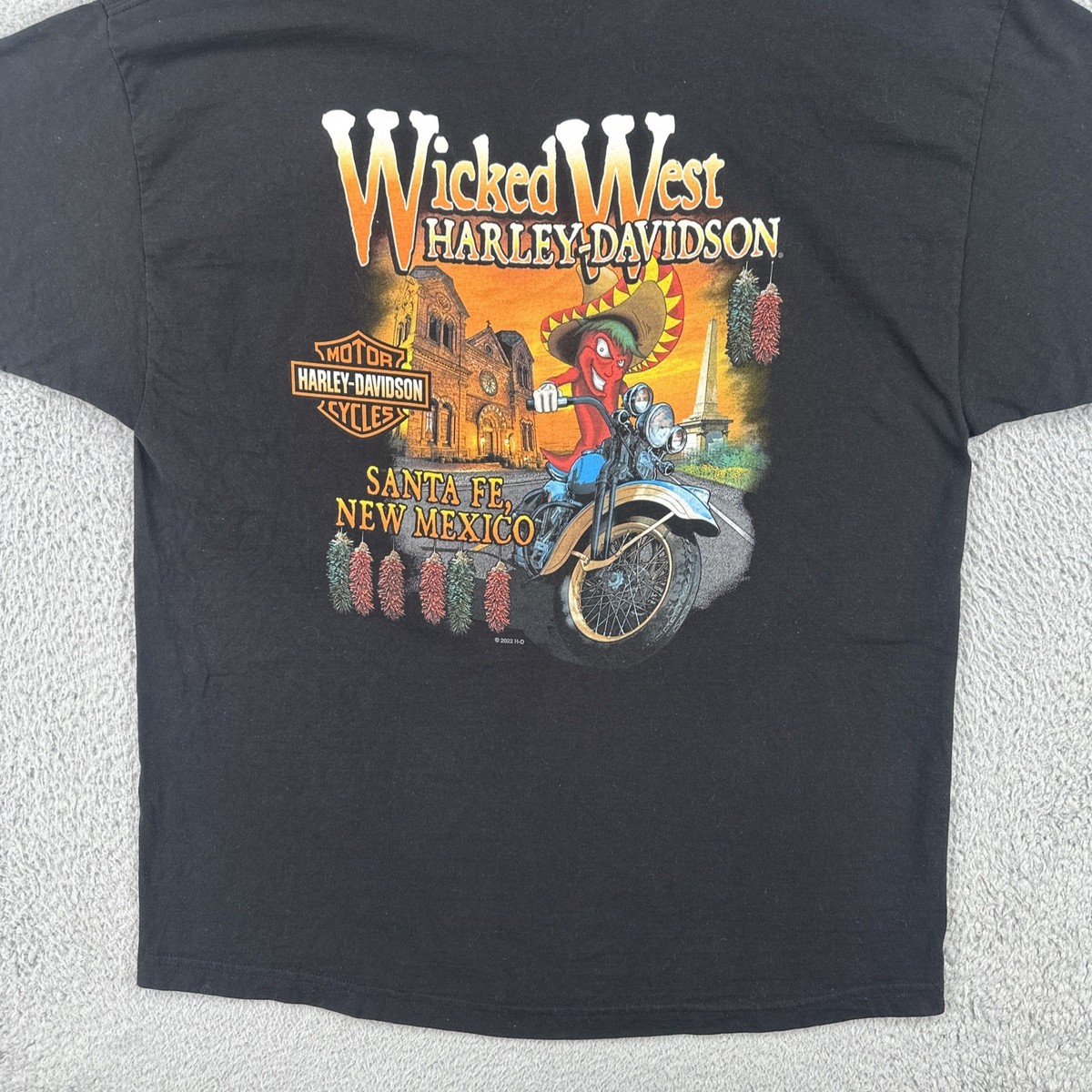harley davidson tシャツ Harley Davidson Men's St. Patty's Day Feeling Lucky? T-Shirt