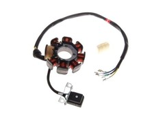 Alternator Stator for Shineray 250 STXE 200 STIIE-B ATV/Quad