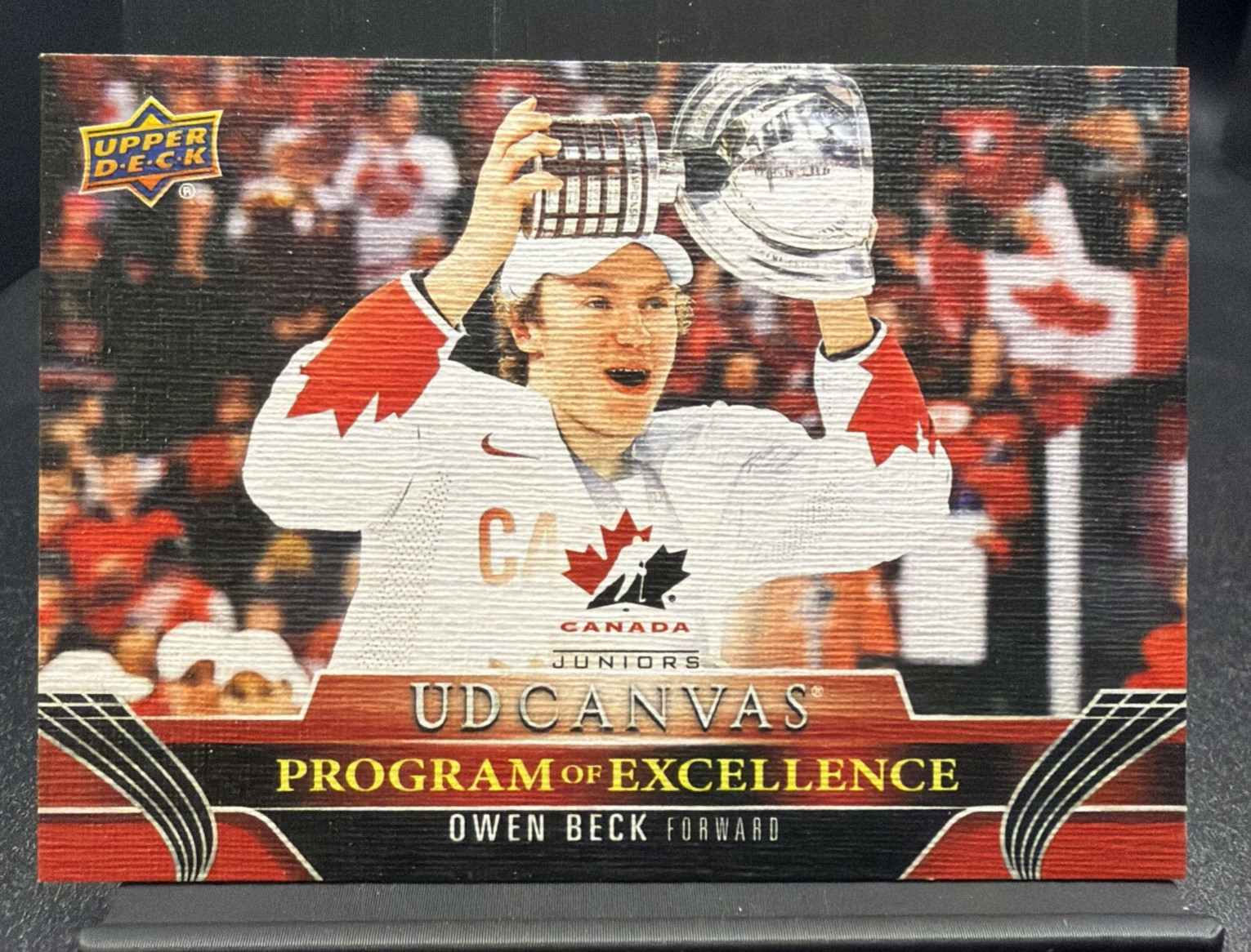 Owen Beck 2023-24 Upper Deck Series 2 - Ud Canvas Program of Excellence #C260