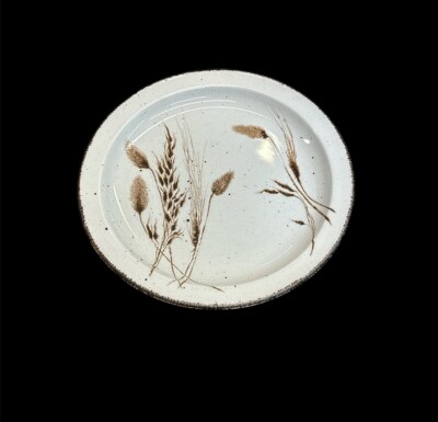 Midwinter Stonehenge Wild Oats Speiseteller 26,5cm Mehr Da