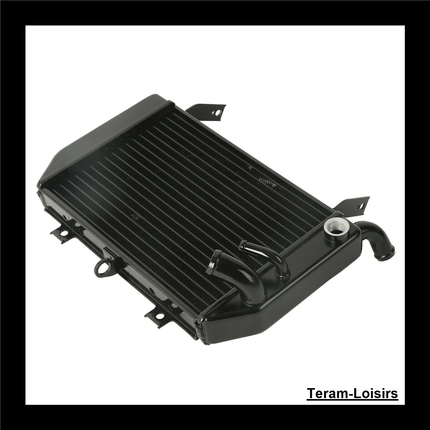Radiateur Suzuki TL 1000 R de 1998 1999 2000 2001 2002 2003 neuf pièce refroidissement bas