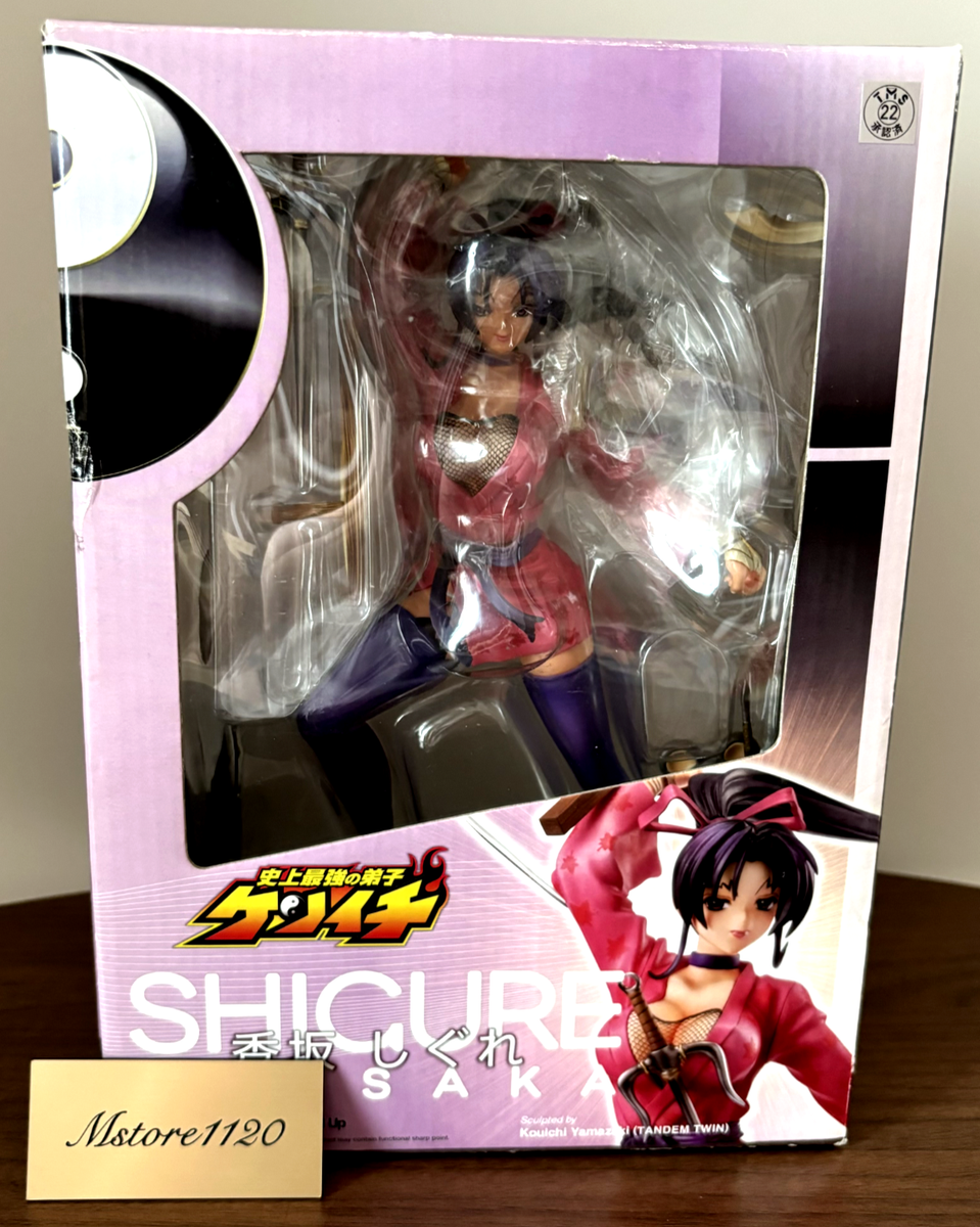 カシン・ラング デザイン フィギュア CAPCOM History's Strongest Disciple Kenichi Shigure Kosaka Figure
