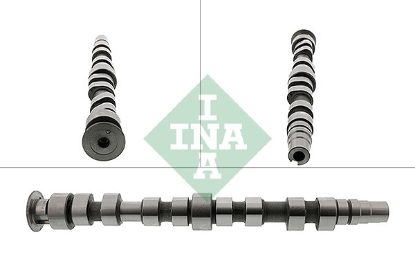 INA 428 0169 10 Nockenwelle FüR Audi, Seat, Skoda, VW-image