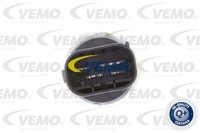 Vemo Schalter, Fensterheber V20-73-0031 FüR Bmw