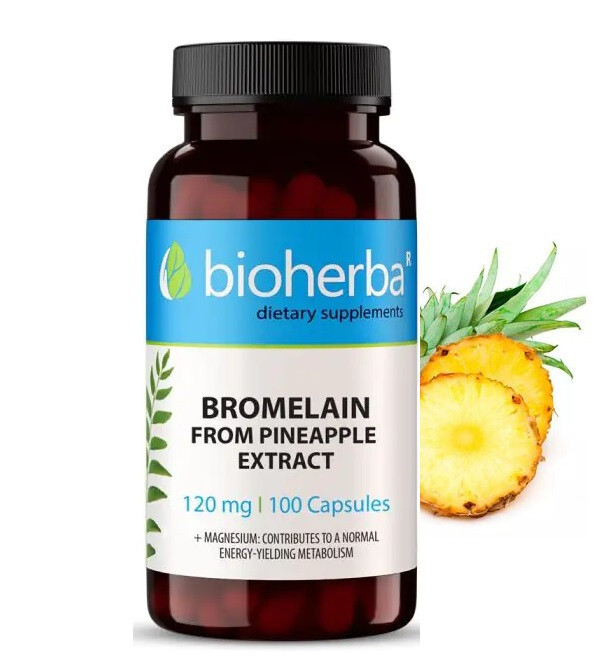 BROMELAIN 120mg from Pineapple Enzyme Complex Digestive Support  100 Caps